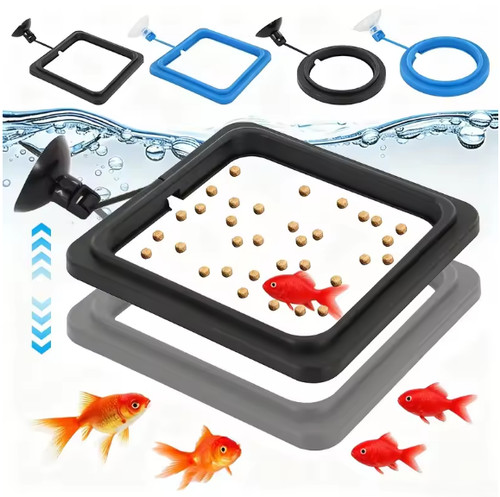 Fish feeding ring - feeding,