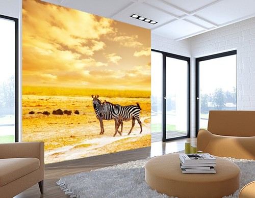 Animal two zebras r14767 - animal,