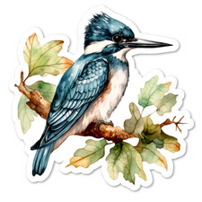 Kingfisher Vinyl Sticker
