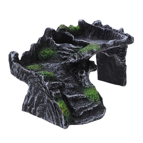 Reptiles tortoise floating - reptiles,