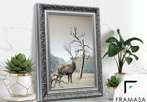 Ornate silver frame - ornate,