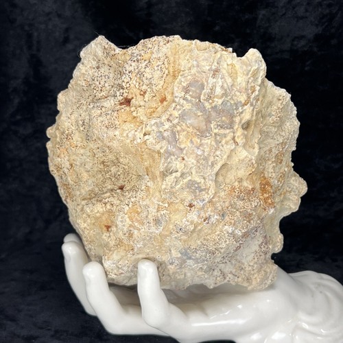 Large geode quartz - 6”,