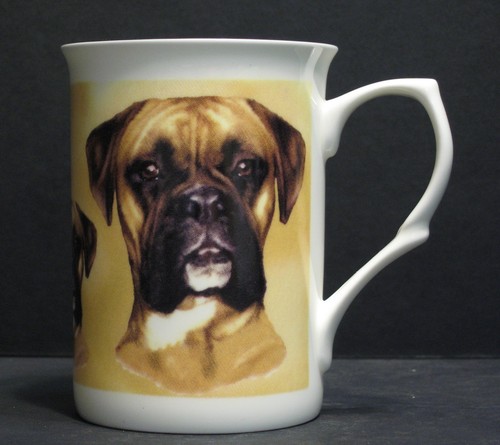 Boxer dog fine - dog, bone