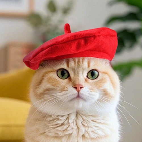 Adorable cat beret hat red - adorable,