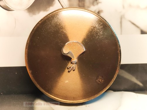 Gold tone with - design, in
