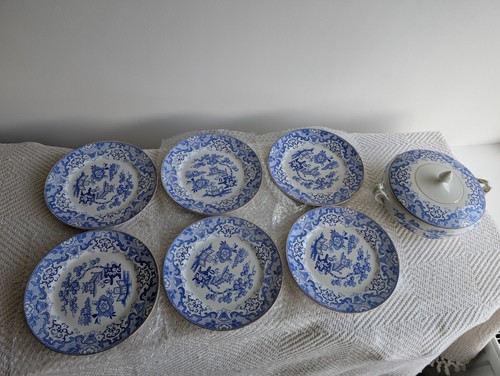 The liverpool pottery - the,