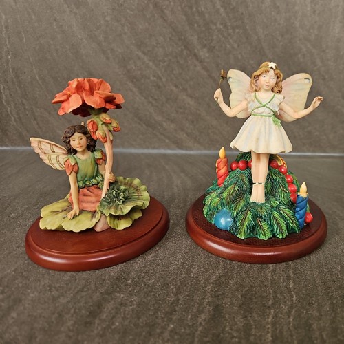 Flower fairies cicely - flower,