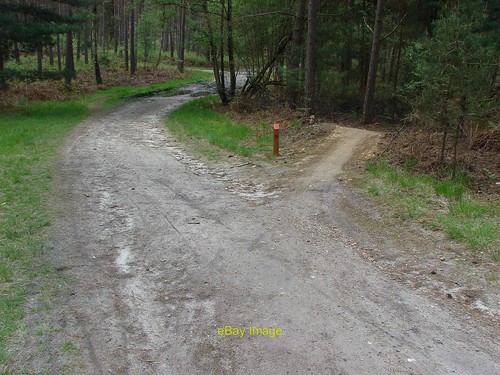Photo 6x4 mountain bike - photo,