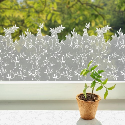 Privacy window film - window, eucalyptus