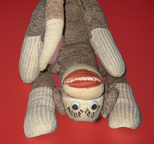 Wanted cuddle buddy - “cuddle, my