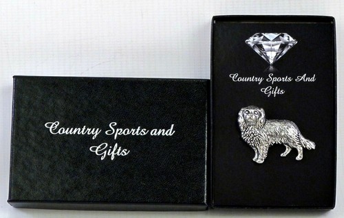 Cavalier king charles - king,