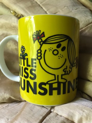 Men little miss sunshine - mr,