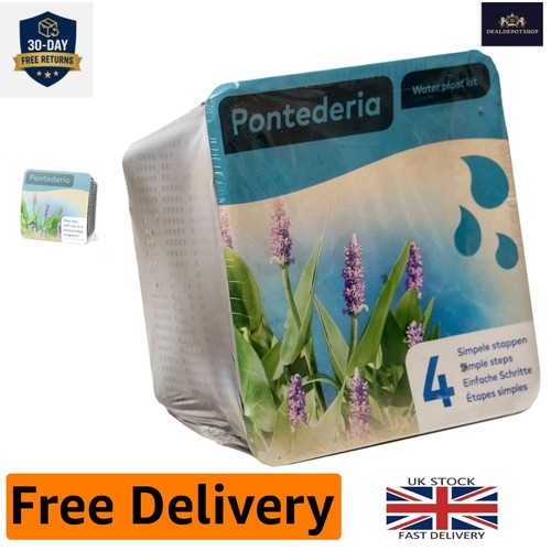Natural complete waterplants - natural,