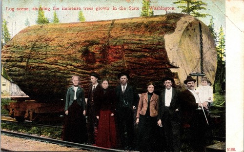 1910 tacoma log - tacoma,