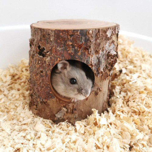 Wooden hamster tunnel small - wooden,