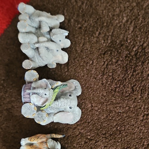 Tuskers elephant - tuskers, 2x