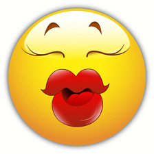 Duckface Kiss Smile Funny Car Bumper Sticker Decal 5" x 5"