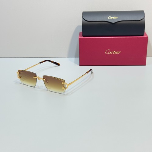 Cartier ct0092o big - ct0092o,