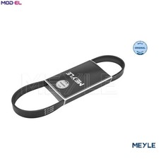 VRIBBED BELT 050 006 0800 FOR