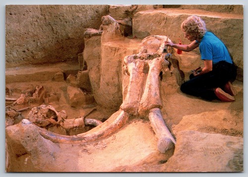 Postcard mammoth site hot - mammoth,