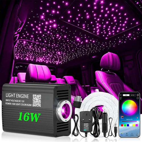 500 car home headliner - car,