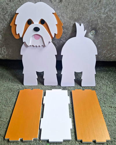 Shih tzu white - tzu, and