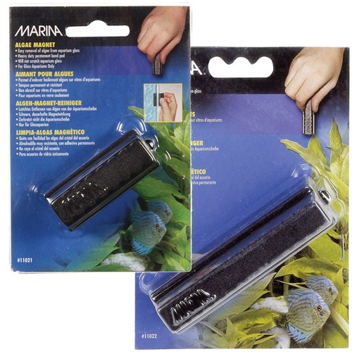 Marina algae magnet - marina,