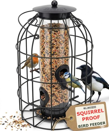 Squirrel proof bird - proof, feeder