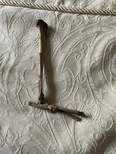 Articulated Rabbit Foot Taxidermy Specimen Ethically Sourced