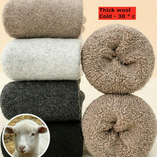 Lot 5pairs men - lot, cushioned