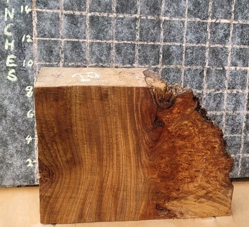 Timber scottish burr - scottish, blank