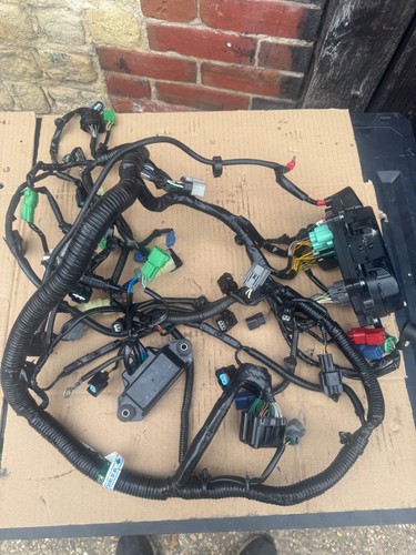 Honda wiring harness 115hp - ,