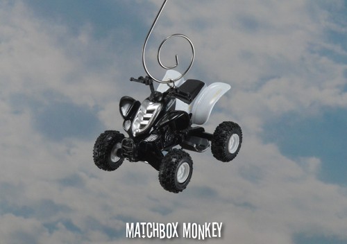 Custom yamaha raptor - yamaha, 660r