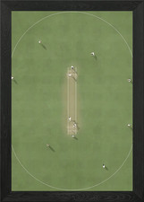 Cricket Field Illustration Framed Wall Art Poster Canvas Print Picture