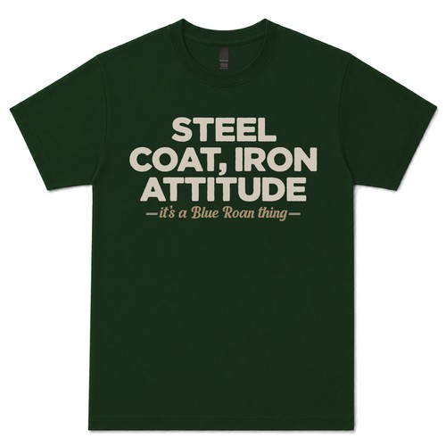 Steel coat iron attitude - iron, blue