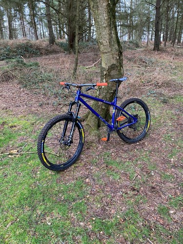 Stanton switchback gen3 custom - switchback,