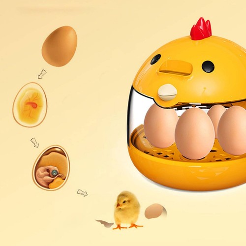 Mini egg shaped incubator - egg-shaped,