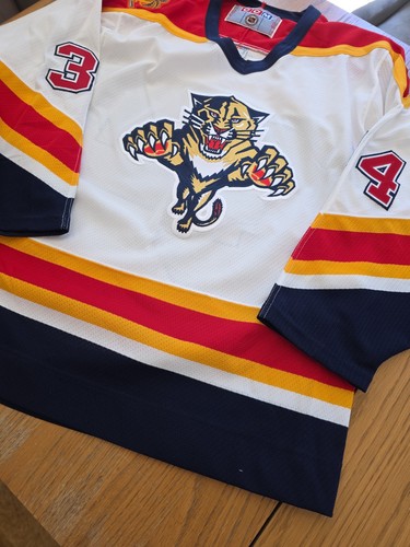 Florida panthers - florida,