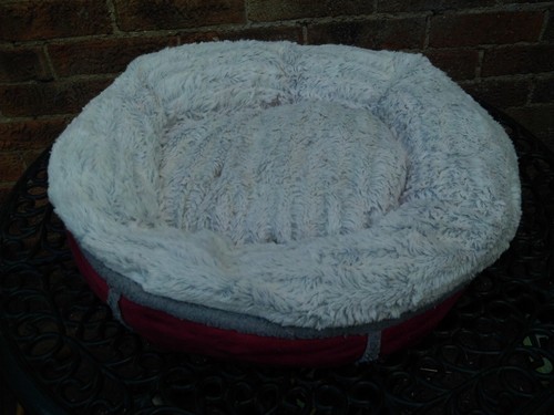 Red doughtnut bed for cat - , or