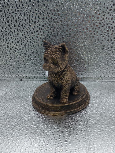 Cairn terrier dog - terrier,