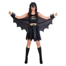 Ladies Batgirl Costume large