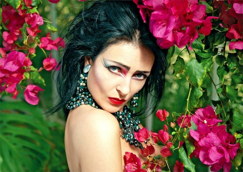 Siouxsie and the banshees - and,