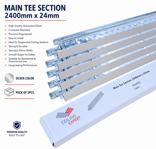 Pack silver main tee - pack, 5