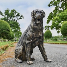 Gold Sitting Rottweiler Dog