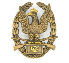 863 POLISH ARMY PERFECT