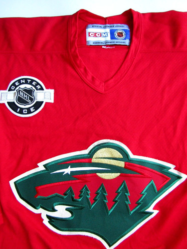Minnesota wilds ice hockey - minnesota,