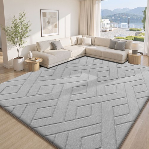 Extra large area rugs - extra,