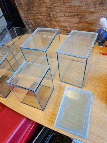 Terrarium plants glass - terrarium,