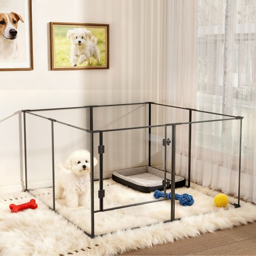 Tall acrylic clear dog play - tall,