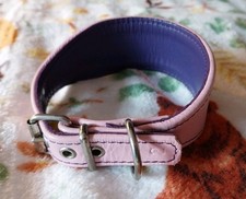 Whippet Collar Pink & Purple Hound Collar